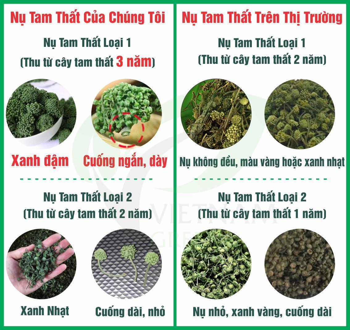 Nụ Tam Thất Có Mấy Loại 3 Cách Phân Biệt, Nhận Biết